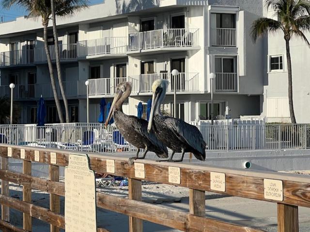 Casa Clara Condos Key Colony Beach Eksteriør billede